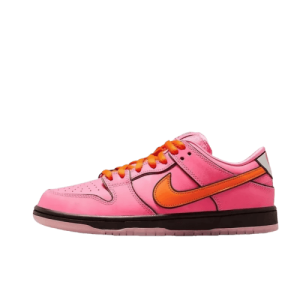 NIKE Dunk SB (33 OPTIONS)