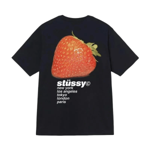 Stussy(40 options)