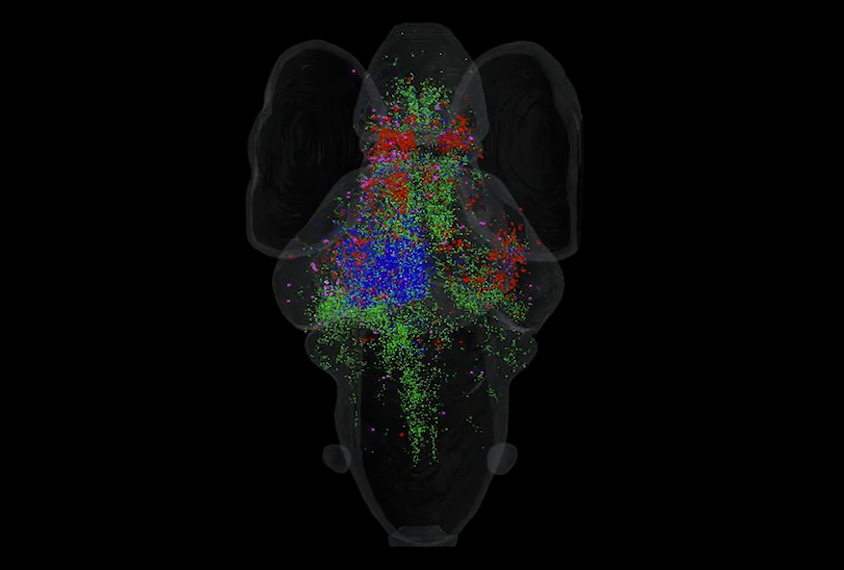 Decoding Reddit's Take on CNFans: A Comprehensive Look at Reviews, Costs, and Shipping