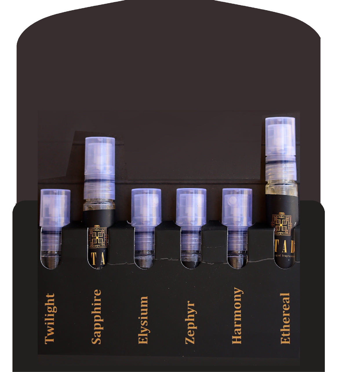 CNFANS Fragrance Spreadsheet: Find Your Signature Scent